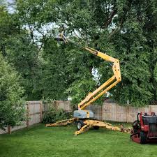 Grass Overseeding in Bloomingdale, NJ