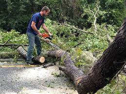 Best Weed Control  in Bloomingdale, NJ