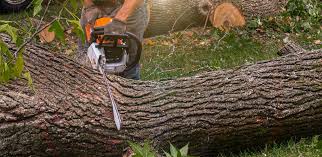 Best Lawn Mowing  in Bloomingdale, NJ
