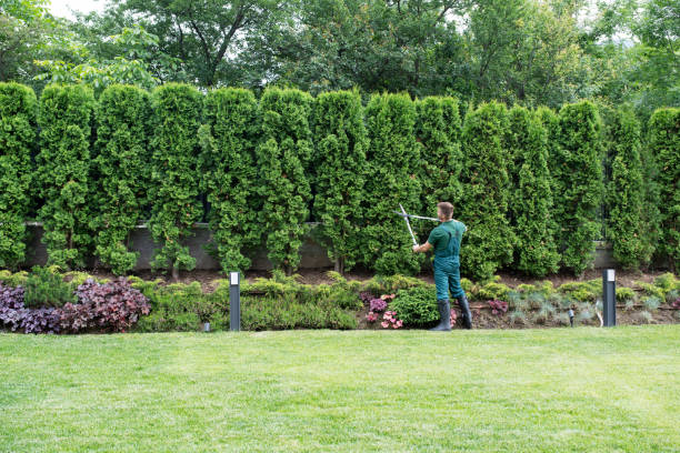 Best Tree Removal  in Bloomingdale, NJ