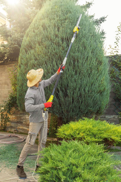 Landscape Design and Installation in Bloomingdale, NJ